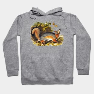 RED GREY FOX AMONG LEAVES Hoodie